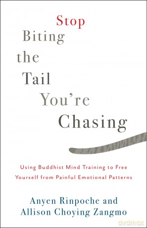 Stop Biting The Tail Youre Chasing - Anyen Rinpoche [KSIĄŻKA]