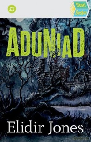 Stori Sydyn Aduniad - Elidir Jones [KSIĄŻKA]