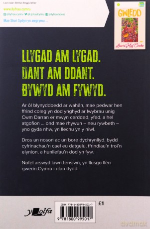 Stori Sydyn Aduniad - Elidir Jones [KSIĄŻKA]