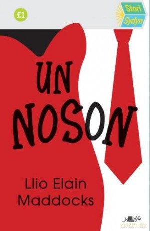 Stori Sydyn Un Noson - Llio Elain Maddocks [KSIĄŻKA]