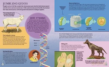 Story Of Science - Anne Rooney [KSIĄŻKA]