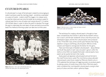 Story Of The Pearl - Caroline Young [KSIĄŻKA]