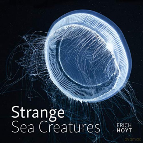 Strange Sea Creatures - Erich Hoyt [KSIĄŻKA]