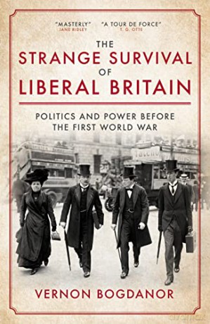 Strange Survival Of Liberal Britain - Vernon Bogdanor [KSIĄŻKA]