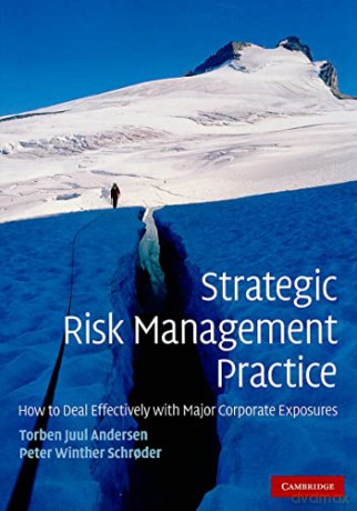 Strategic Risk Management Practice - Torben Juu Andersen [KSIĄŻKA]