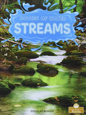 Streams - Douglas Bender [KSIĄŻKA]