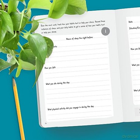 Stress Relief Guided Journal - Patrick Fanning [KSIĄŻKA]