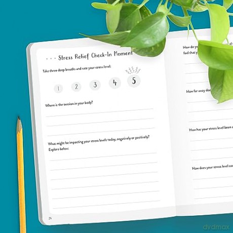 Stress Relief Guided Journal - Patrick Fanning [KSIĄŻKA]