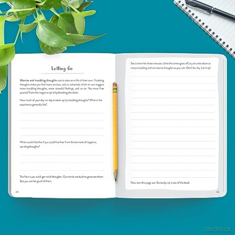 Stress Relief Guided Journal - Patrick Fanning [KSIĄŻKA]
