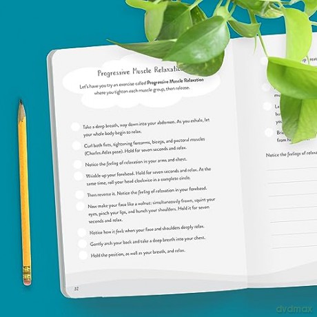 Stress Relief Guided Journal - Patrick Fanning [KSIĄŻKA]