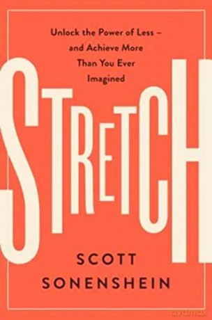 Stretch - Scott Sonenshein [KSIĄŻKA]