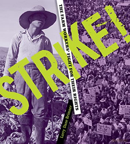 Strike Pb - Larry Dane Brimner [KSIĄŻKA]