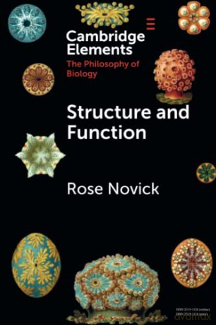 Structure And Function - Novick Rose [KSIĄŻKA]