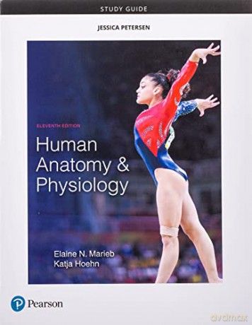 Study Guide For Human Anatomy Physiology - Elainehoehn Marieb [KSIĄŻKA]