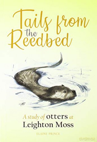Study Of Otters At Leighton Moss - Elaine Prince [KSIĄŻKA]