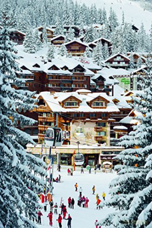Stylish Life Skiing [KSIĄŻKA]