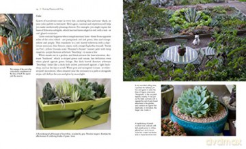 Succulent Container Gardens - Debra Lee Baldwin [KSIĄŻKA]