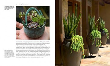 Succulent Container Gardens - Debra Lee Baldwin [KSIĄŻKA]