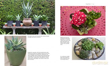 Succulent Container Gardens - Debra Lee Baldwin [KSIĄŻKA]