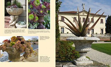 Succulent Container Gardens - Debra Lee Baldwin [KSIĄŻKA]