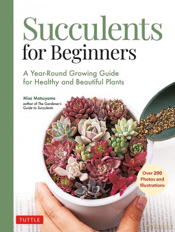 Succulents For Beginners - Misa Matsuyama [KSIĄŻKA]