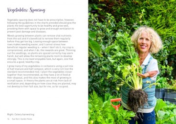 Sue Kent Garden Notes - Sue Kent [KSIĄŻKA]