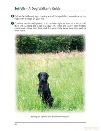 Suffolk A Dog Walkers Guide - Diana Irwin [KSIĄŻKA]