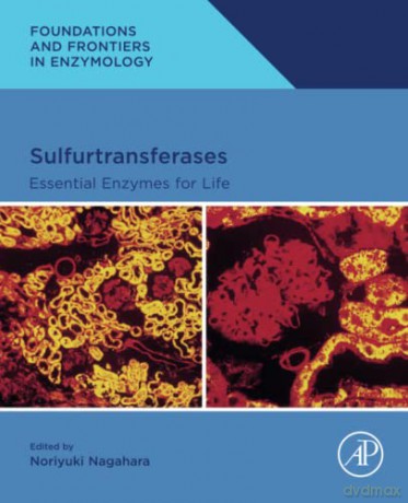 Sulfurtransferases - Noriyuki Nagahara [KSIĄŻKA]