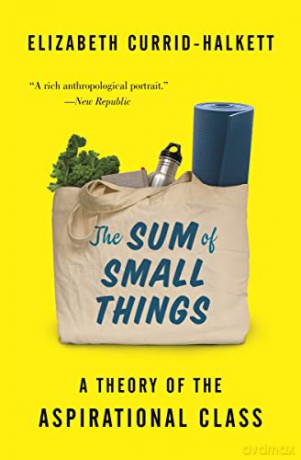 Sum Of Small Things - Eliz Currid-Halkett [KSIĄŻKA]