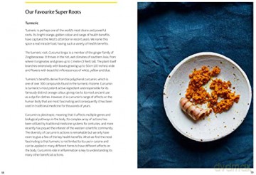 Super Root Spices - Zoe Lind Vant Hos [KSIĄŻKA]