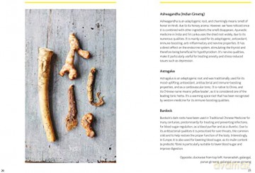 Super Root Spices - Zoe Lind Vant Hos [KSIĄŻKA]