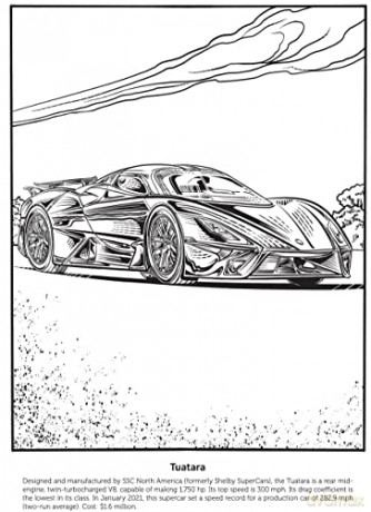 Supercars Coloring Book - Steven Petruccio [KSIĄŻKA]