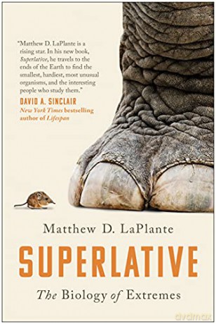 Superlative - Matthew D. Laplante [KSIĄŻKA]