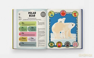 Superpowered Animals - Romero Marino Soled [KSIĄŻKA]