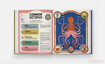 Superpowered Animals - Romero Marino Soled [KSIĄŻKA]