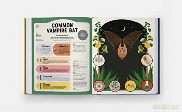 Superpowered Animals - Romero Marino Soled [KSIĄŻKA]