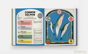 Superpowered Animals - Romero Marino Soled [KSIĄŻKA]