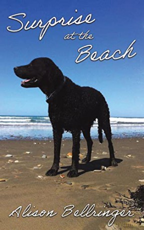 Surprise At The Beach - Alison Bellringer [KSIĄŻKA]