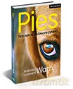 Pies. Najczęściej Zadawane Pytania - Antonina Wach, Leonard Wach [KSIĄŻKA]