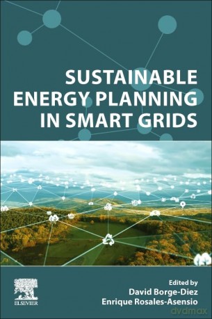 Sustainable Energy Planning In Smart Gri - David Borge-Diez [KSIĄŻKA]