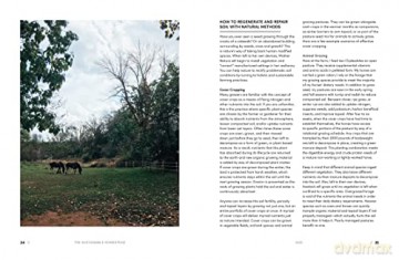 Sustainable Homestead - A Ferraro-Fanning [KSIĄŻKA]