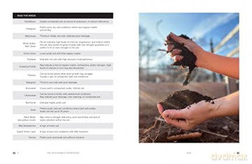 Sustainable Homestead - A Ferraro-Fanning [KSIĄŻKA]