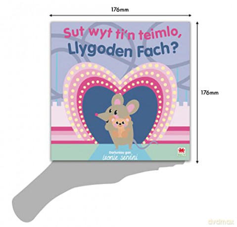 Sut Wyt Tin Teimlo Llygoden Fach - Rily [KSIĄŻKA]