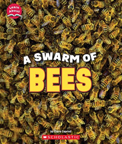 Swarm Of Bees Learn About Animals - Claire Caprioli [KSIĄŻKA]
