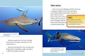 Swimming With Sharks - Amie Jane Leavitt [KSIĄŻKA]