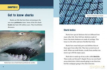 Swimming With Sharks - Amie Jane Leavitt [KSIĄŻKA]
