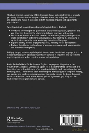 Syntactic Processing - Carlos Acu A Fari A [KSIĄŻKA]