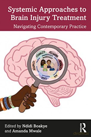 Systemic Approaches To Brain Injury Trea - Ndidi Boakye [KSIĄŻKA]