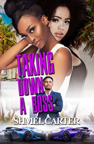Taking Down A Boss - Shmel Carter [KSIĄŻKA]