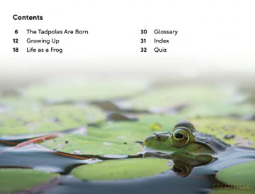 Tale Of A Tadpole Level 2 [KSIĄŻKA]